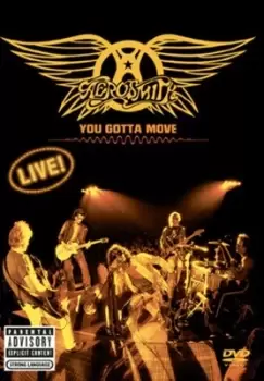 Aerosmith You Gotta Move - DVD