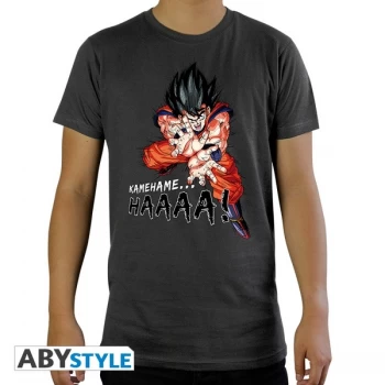 Dragon Ball - "DBZ/ Kamehameha" Mens XS SS T-Shirt - Dark Grey - Basic