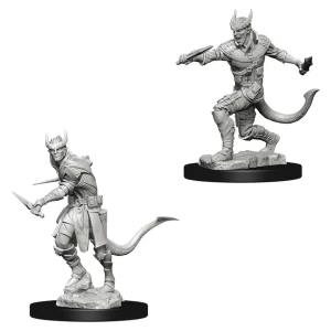 Dungeons & Dragons Nolzur's Marvelous Unpainted Miniatures (W5) Tiefling Male Rogue