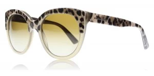 Dolce & Gabbana DG4259 Sunglasses Top Mud / Animailer 2967T5 56mm