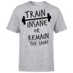 Train Insane or Remain the Same T-Shirt - Grey - 4XL