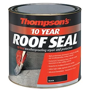 Thompsons 10 Year Roof Seal - Black 2.5L