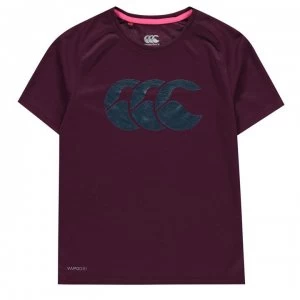 Canterbury Poly Large Logo T Shirt Junior Boys - Purple