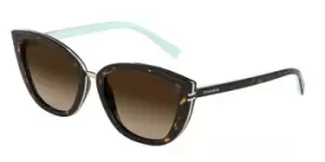 Tiffany & Co. 0TF4152 80153B 55 Sunglasses