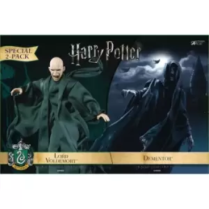 HP & The Goblet of Fire Dementor with Voldermort