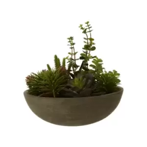 29cm Mixed Succulent in Stone Effect Pot