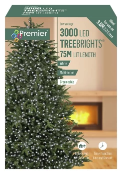 Premier 3000 White Multi-function Christmas LED Lights - 5m