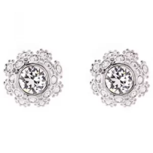 Ted Baker Ladies Silver Plated Seraa Crystal Daisy Lace Stud Earring
