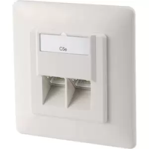 Digitus DN-9001-N Network outlet Flush mount Insert with main panel and frame CAT 5e 2 ports Pure white