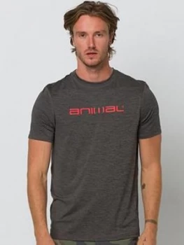 Animal Surf/Swim Short Sleeve T-Shirt - Dark Charcoal, Dark Charcoal, Size 2XL, Men
