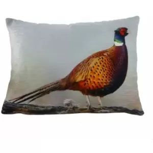 Evans Lichfield Pheasant Cushion Cover (One Size) (Multicoloured) - Multicoloured