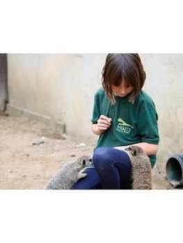 Virgin Experience Days Junior Animal Keeper Experience At Millets Falconry Centre