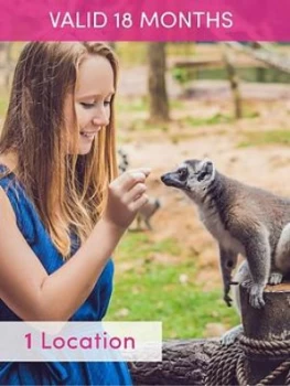 Activity Superstore Meet The Meerkats, Servals And Lemurs At Hoo Farm For Two