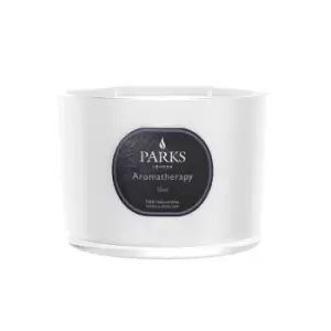 Parks London Aromatherapy Collection 3 Wick Candle - None