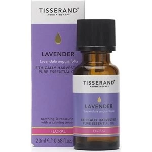 Tisserand Aromatherapy Lavender Essential Oil Ethically Harvested 20ml