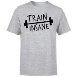 Train Insane T-Shirt - Grey - 3XL