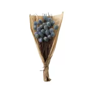 Crossland Grove Dried Thistle Bundle In Paper Wrap Blue H540Mm