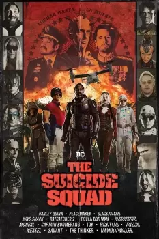 The Suicide Squad Team Poster multicolour