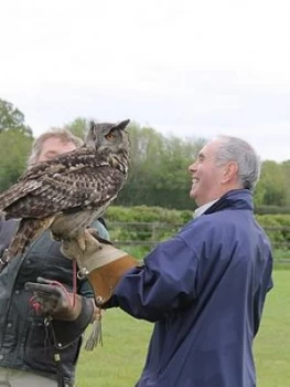 Virgin Experience Days Falconry Taster For Two
