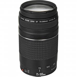Canon EF 75 300mm f4 5.6 III Lens