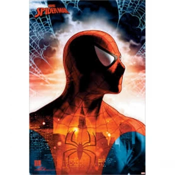 Spiderman - Protector Maxi Poster