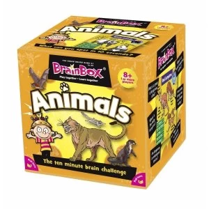 BrainBox Animals Edition