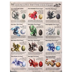 Large Wyrmling & Egg Identification Chart Canvas Picture by Anne Stokes