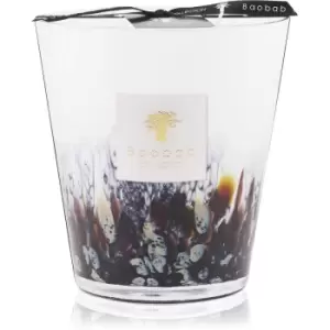 Baobab Rainforest Tanjung scented candle 16 cm