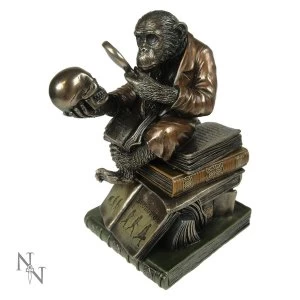 Darwinism of Evolutionary Theory Monkey Figurine