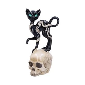 Feline Fate Light Up Skull and Cat Figurine