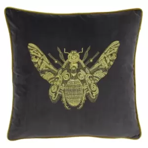 Cerana Bee Velvet Cushion Charcoal / 50 x 50cm / Cover Only