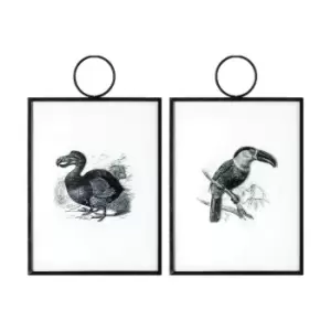 Gallery Interiors Exotic Birds Hanging Art Set Of 2 Wall Art Outlet