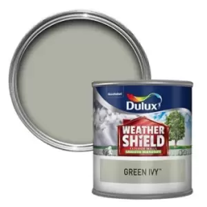 Dulux Weathershield All Weather Protection Green Ivy Smooth Masonry Paint 250ml