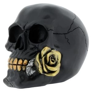 Black Rose from the Dead Skull