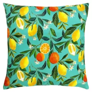 Orange Blossom Outdoor Filled Cushion 43x43cm