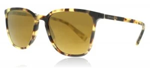 Dolce & Gabbana DG4301 Sunglasses Cube Havana 512 / 6H 53mm