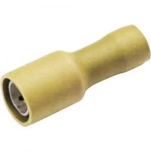 Bullet receptacle 4 mm2 6 mm2 Pin diameter 5 mm