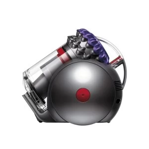 Dyson Big Ball Animal 2 Cylinder Vacuum Cleaner