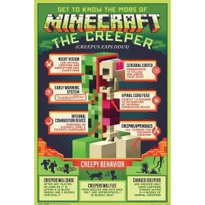 Minecraft Creepy Behavior Maxi Poster