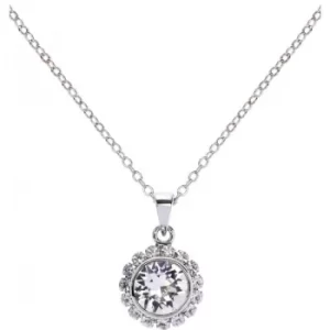 Ted Baker Ladies Sela Crystal Chain Pendant Necklace