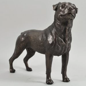 Rottweiler Cold Cast Bronze Sculpture 14.5cm