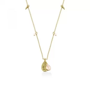 Ladies Radley Gold Plated Sterling Silver In A Flutter Necklace