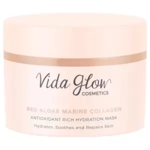 Vida Glow Antioxidant Rich Hydration Mask - 45ml