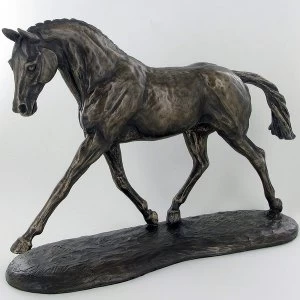Trotting Warmblood by Harriet Glen Cold Cast Bronze Sculpture 23cm