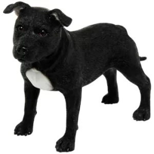 Best Breed Dog Black Standing Staffordshire Terrier