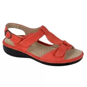 Boulevard Womens/Ladies Buckle Leather Lined Sandals (6 UK) (Coral Pink)