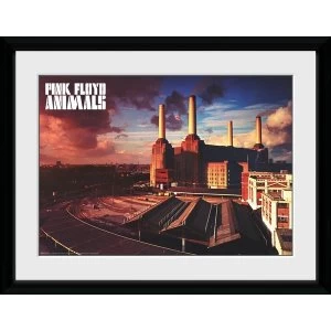 Pink Floyd - Animals #2 12" x 16" Collector Print