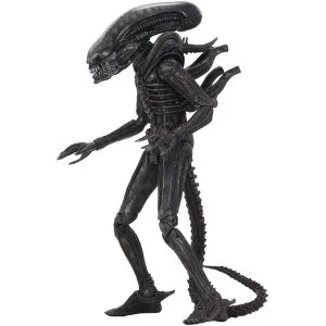 Xenomorph Alien 40th Anniversary Neca Action Figure