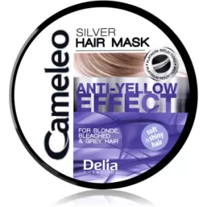 Delia Cosmetics Cameleo Silver Hair Mask for Yellow Tones Neutralization 200ml