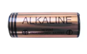 Coin Cell Battery GP23A - Alkaline 12V PWN570 WOT-NOTS